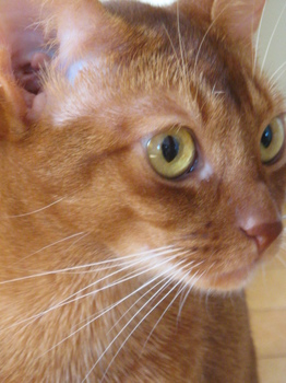 2007-9-16 025.jpg