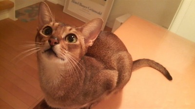 2009071821030000.jpg
